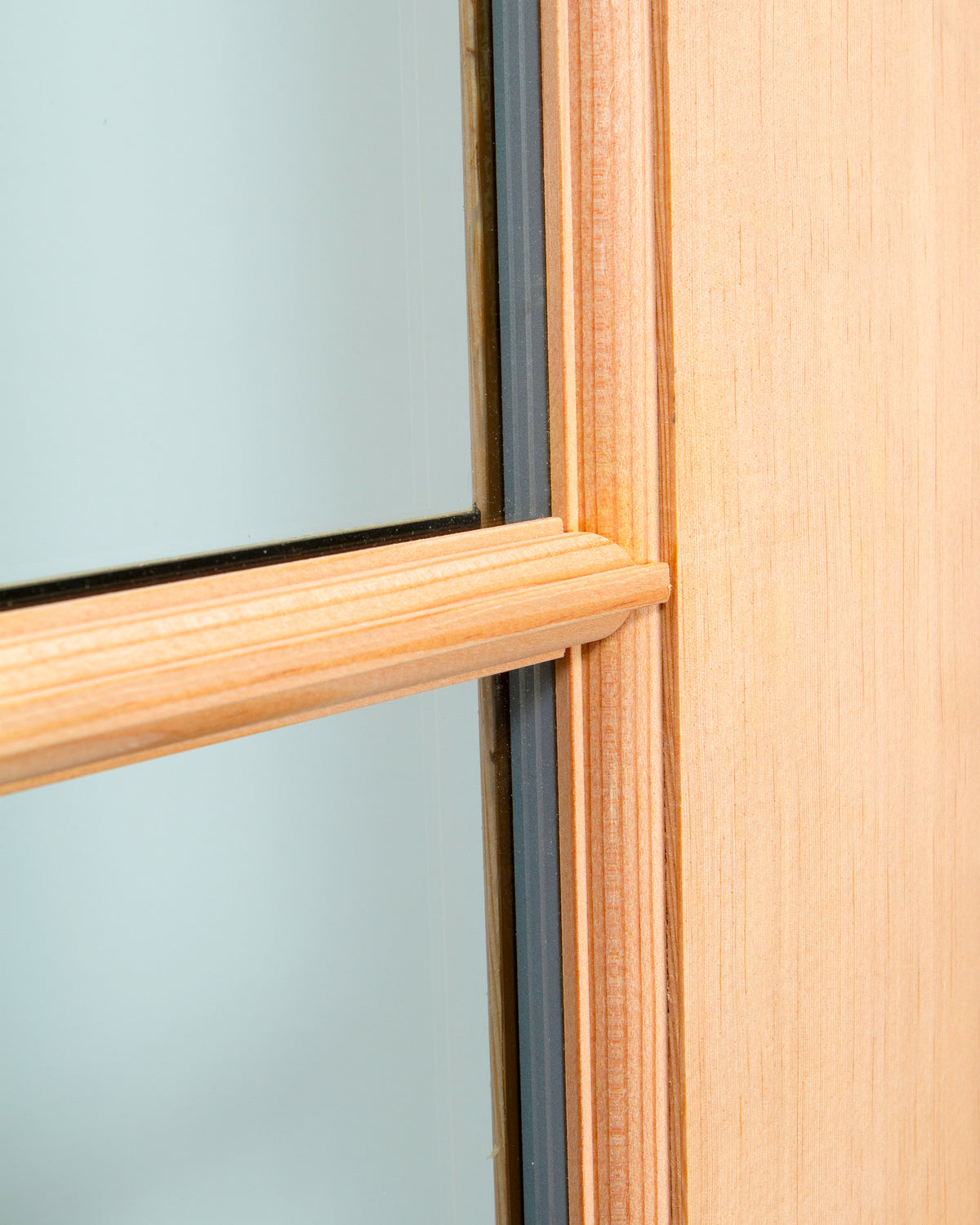 5 Lite French Interior Door